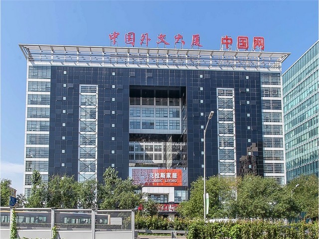 晋江万达君子兰出租